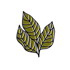 Holistic Therapies Best Naturopathy Centres In India 